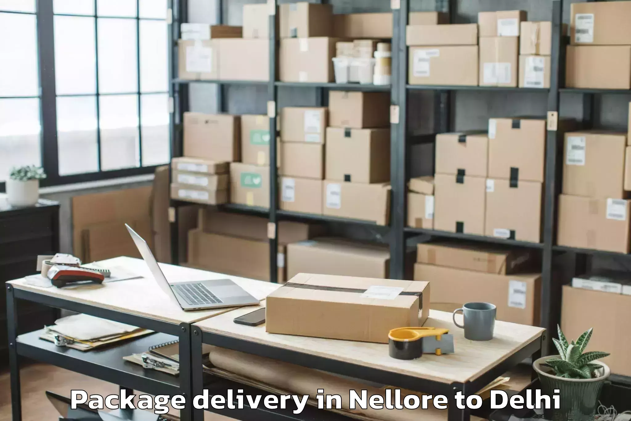 Hassle-Free Nellore to Chanakya Puri Package Delivery